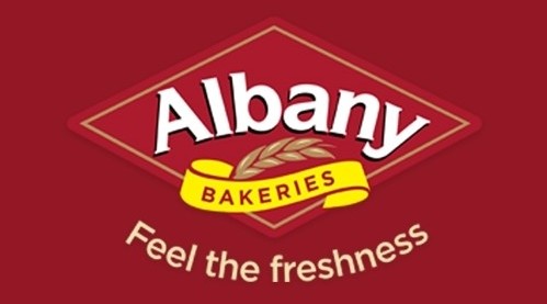 Demand Partner Logo Albany